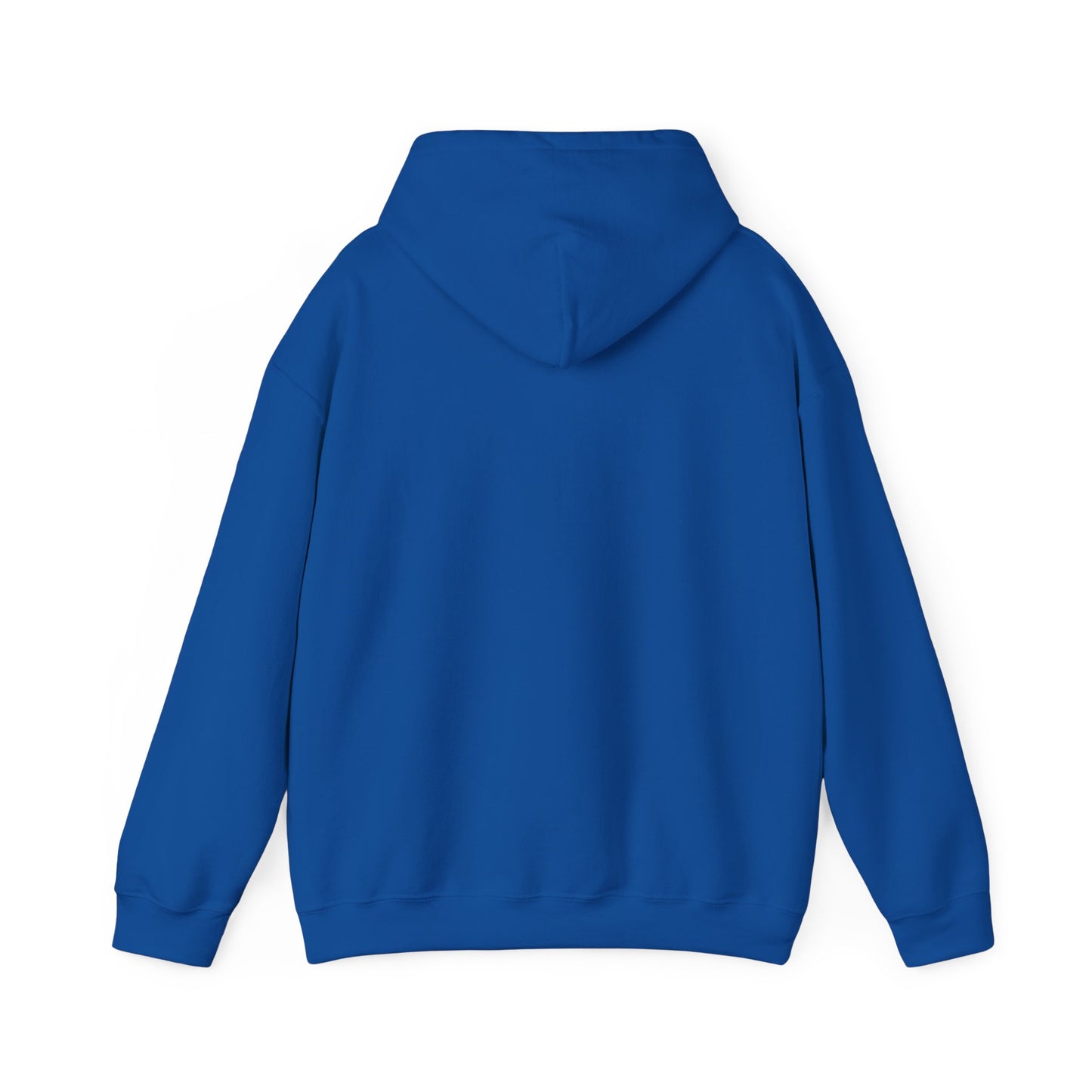 Christian Hoodie - Chosen by God Isaiah 42:1