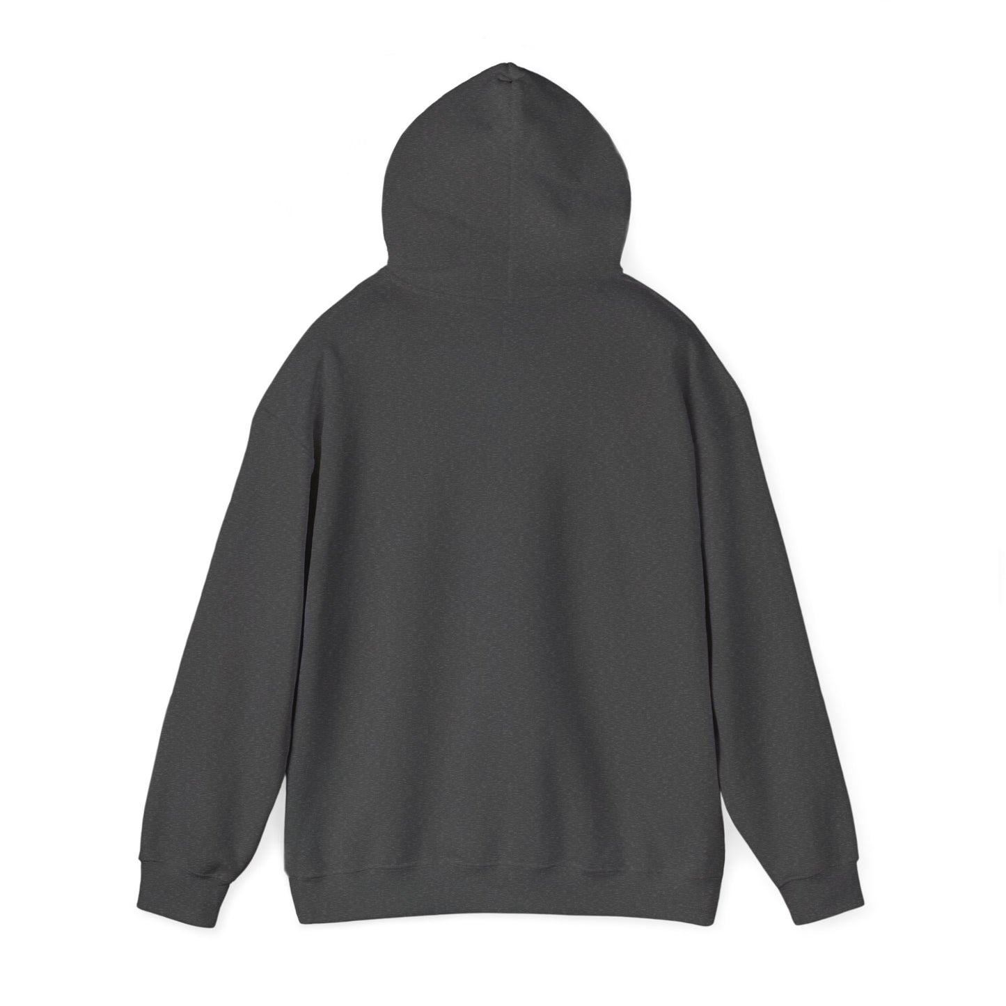 Christian Hoodie - Chosen by God Isaiah 42:1