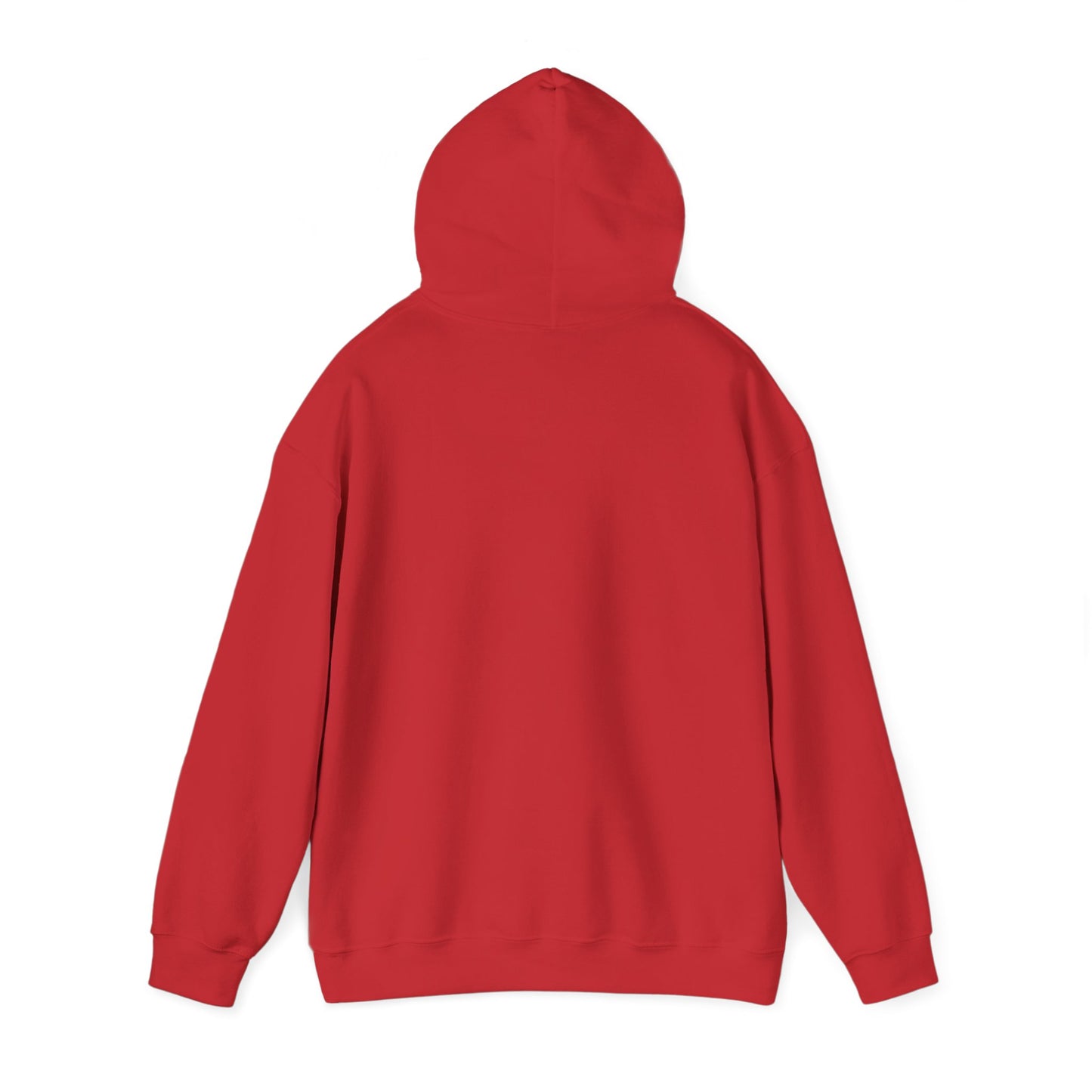 Christian Unisex Hoodie Inspired by 1 John 14-15