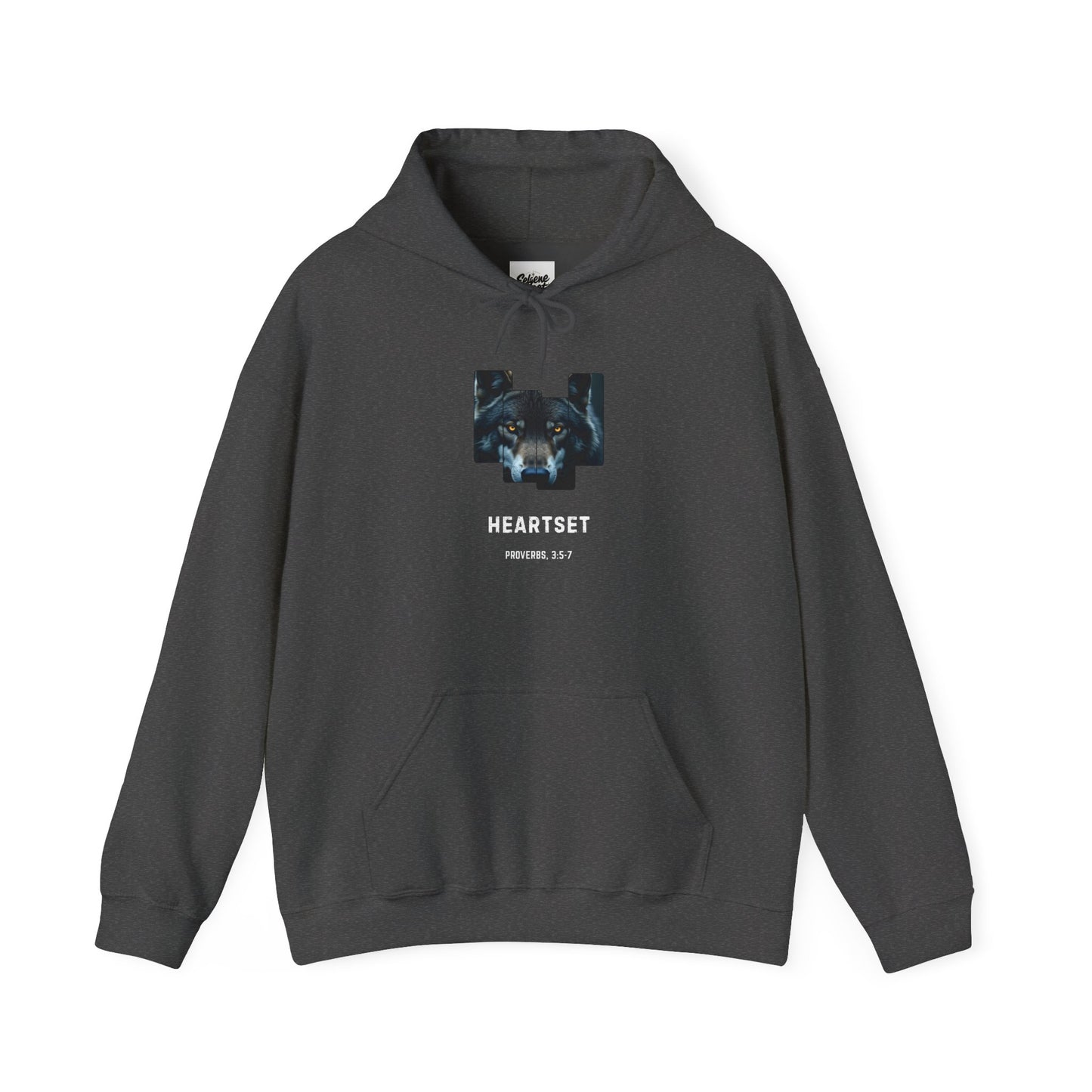 Trust God Proverbs 3:5-7 Hoodie