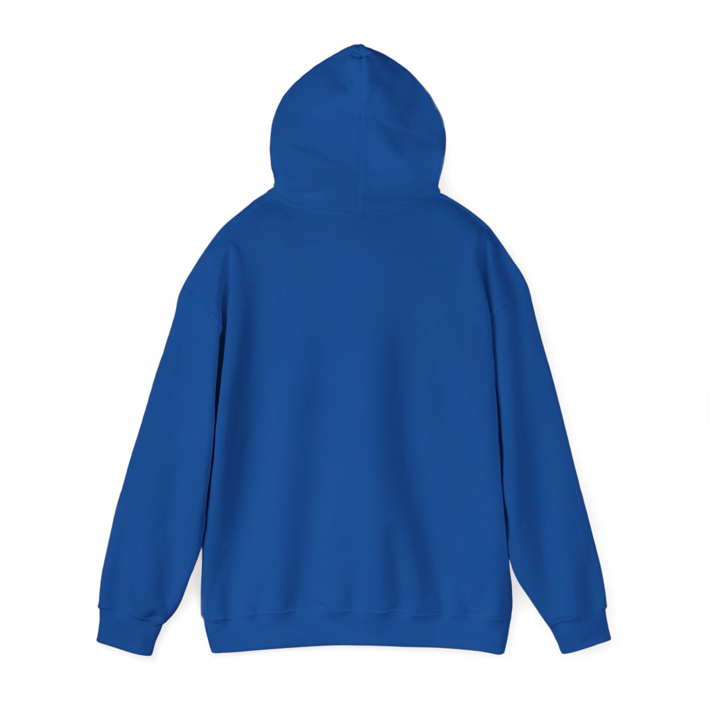 Christian Hoodie - Chosen by God Isaiah 42:1