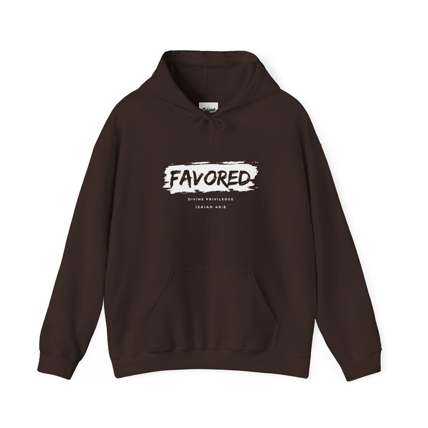Hooded Sweatshirt - God's Favor at the Oppurtune Time - Isaiah 49:8