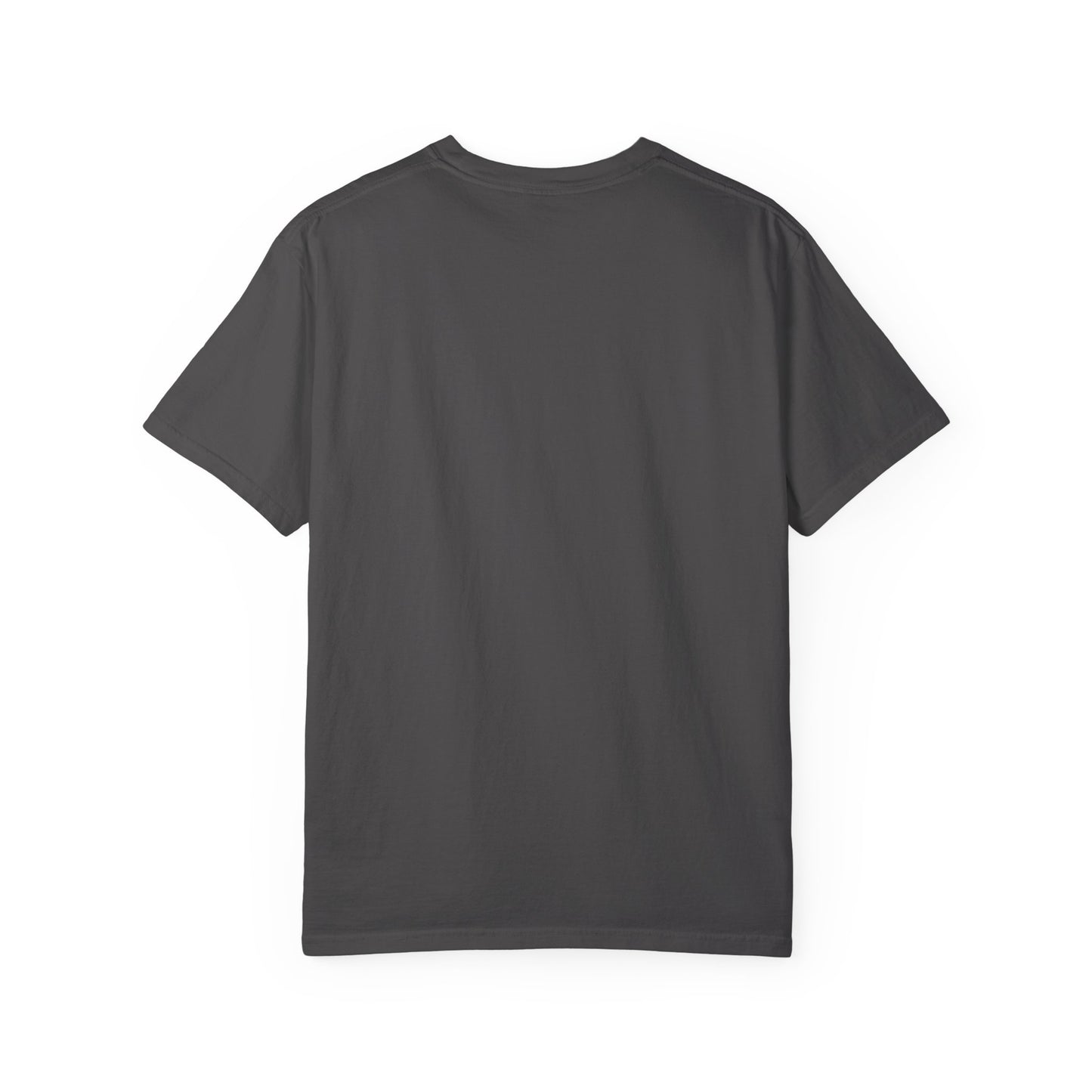 Jeremiah 29:11 Unisex Tee