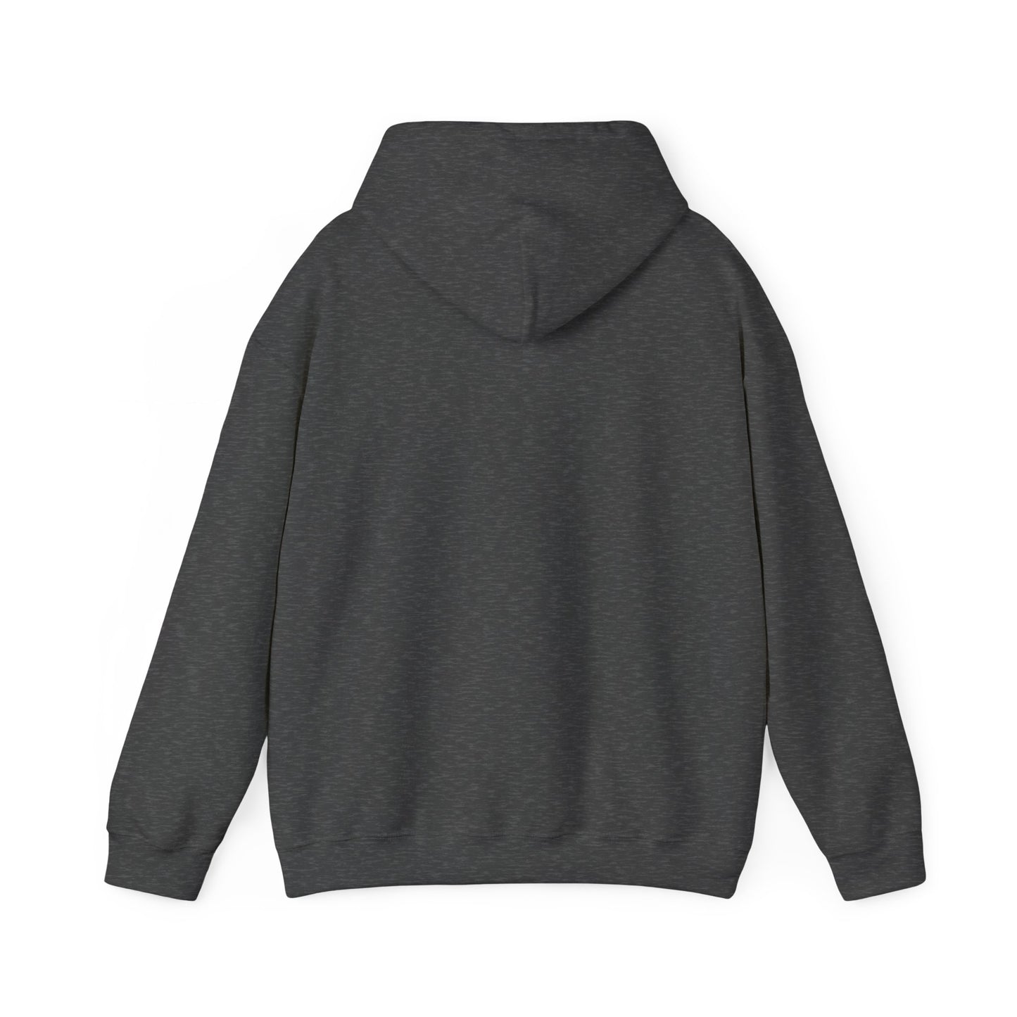 Christian Hoodie - Chosen by God Isaiah 42:1