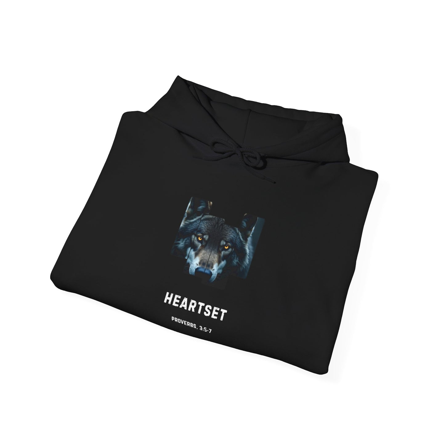 Trust God Proverbs 3:5-7 Hoodie