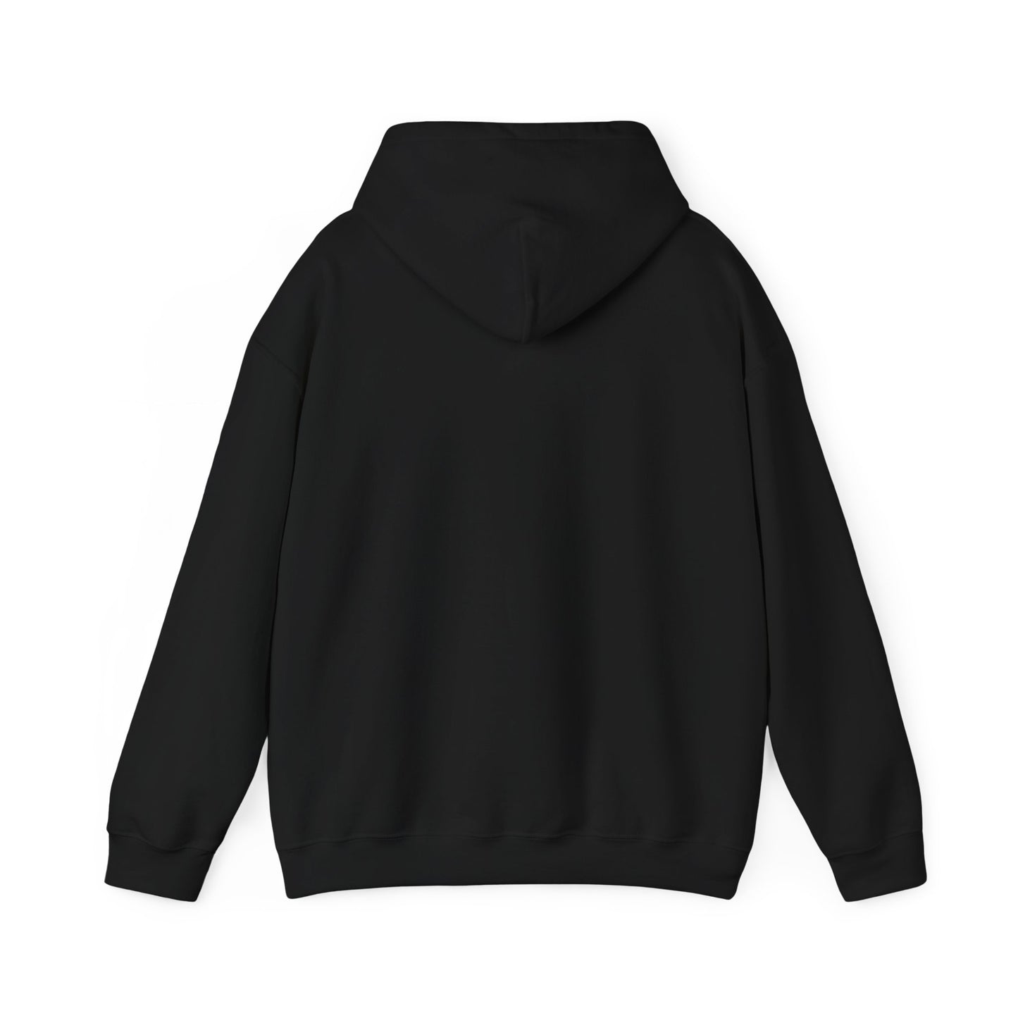 Christian Hoodie - Chosen by God Isaiah 42:1