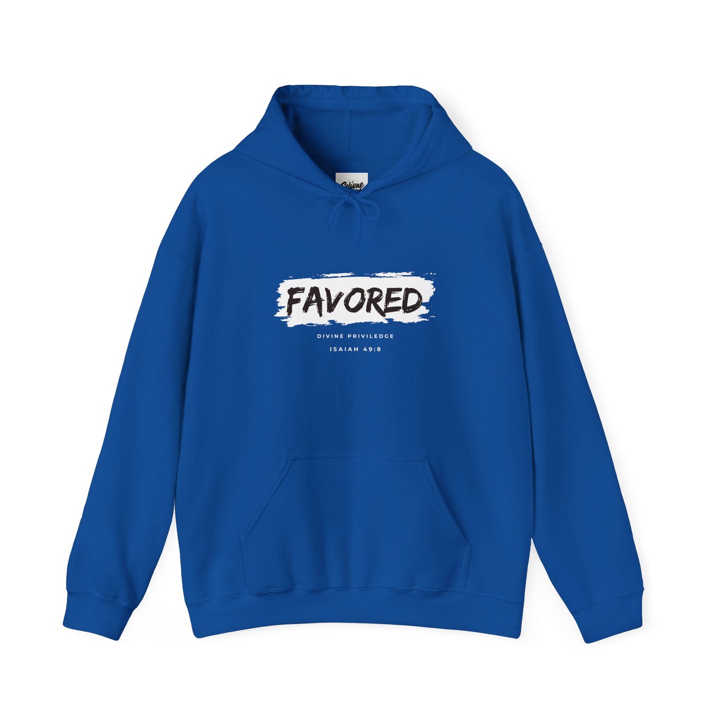 Hooded Sweatshirt - God's Favor at the Oppurtune Time - Isaiah 49:8