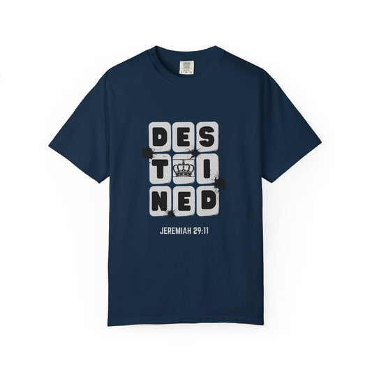 Jeremiah 29:11 Unisex Tee