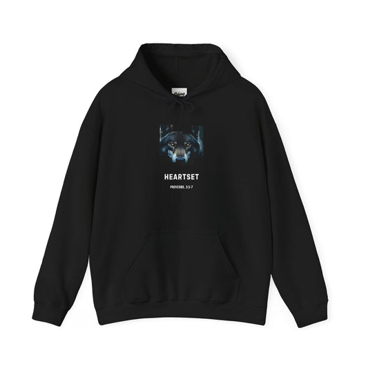 Trust God Proverbs 3:5-7 Hoodie