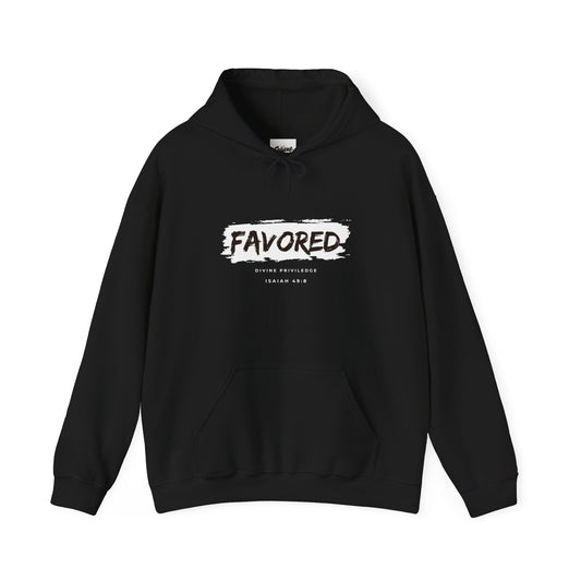 Hooded Sweatshirt - God's Favor at the Oppurtune Time - Isaiah 49:8